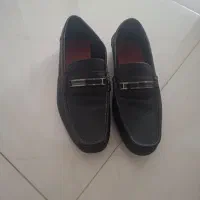 کفش از برند calvinklein|کیف، کفش، کمربند|ری, جوانمرد قصاب|دیوار