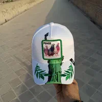 کلاه کبوتر کیفیت مستر