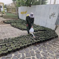 خدمات باغبانی و کارشناسی( دارای مدرک گیاهپزشکی)|خدمات باغبانی و درختکاری|تهران, ایران|دیوار