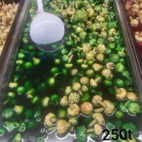 پخش زیتون محمدلو