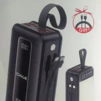 یک عدد پاور بانک شارژی