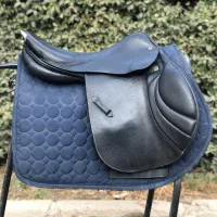 زین پرش ((اشتوبن))