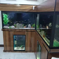 فروش آکواریوم