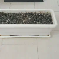 گلدان بزرگ|گل و گیاه طبیعی|محمدشهر, ولدآباد|دیوار