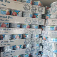 تن ماهی مکنزی