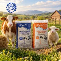 کنسانتره آجیلی شیری سوپر و پرواری