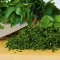 نیروی کار خانم یا ا آقا برای سبزی خورد کنی