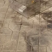 معاوضه باقفس سایز۲آرمان