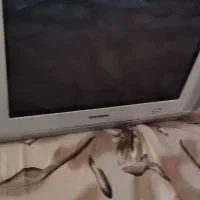 تلویزیون|تلویزیون و پروژکتور|ری, شهادت|دیوار