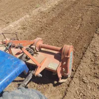 چهار شاخ زنی زعفران(رنده زنی)|خدمات باغبانی و درختکاری|تربت جام, المهدی|دیوار