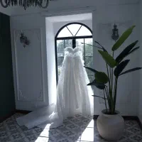 لباس عروس vip