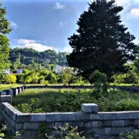 زمین-باجواز210مترسندداردیوارکشی-ویو-جنگل-عباس-اباد