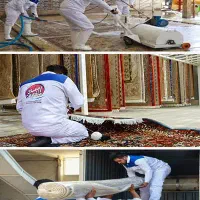 استخدام نیرو قالیشویـی