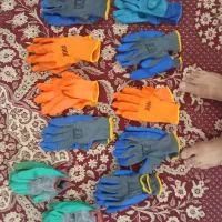 دسکتش ژلیی