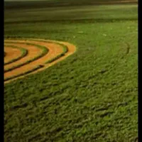 زمین کشاورزی