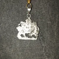 گردنبند نقره شیر و خورشید دستساز