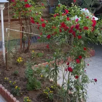 300متر-ویلایی-دوطبقه-بهترین-لوکیشن-منطقه