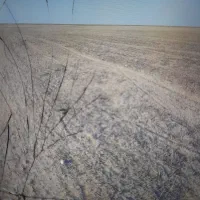 زمین اجاره ای