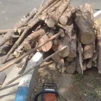 برش درخت خشک
