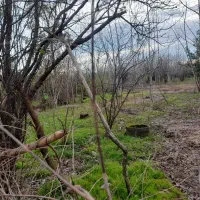 زمین مسکونی تک برگ سند|فروش زمین و ملک کلنگی|رودبنه, |دیوار