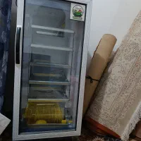 دستگاه جوجه کشی