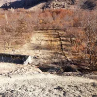 زمین کشاورزی|فروش زمین و ملک کلنگی|اسفراین, |دیوار