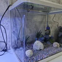 دوتا آکواریم برندشرکتی آکواهمراه تجهیزات|ماهی|تهران, چهارصد دستگاه|دیوار