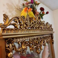 پرنده|پرنده|تبریز, |دیوار