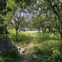 فروش و تهاتر زمین 285متر باپروانه ساخت جاده نظامی|فروش زمین و ملک کلنگی|قائم‌شهر, |دیوار