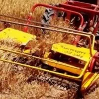 دروگرد گندم جو بافه بند گندم جو