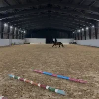 آموزش سوارکاری و تربیت اسب