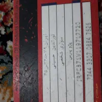 کاتسوختنورالدینحسینیشماره|اشیا|محمدیه-قزوین, |دیوار