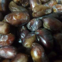 خرما فله بدون شیره وافزودنی