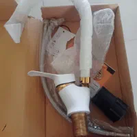 دو عدد شیر و میز خاطره