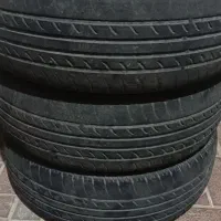 لاستیک سمندی