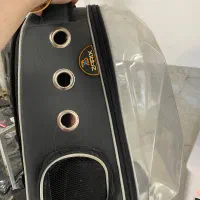 عروس هلندی با قفس و وسایل و کیف بیرون بردن عروس|پرنده|تبریز, |دیوار