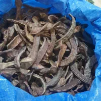 پخش عمده سنبل الطیب اعلا نفتالین وخرنوب اصلی وغیره|خوردنی و آشامیدنی|تهران, تهرانسر غربی|دیوار