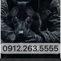0912.263.5555