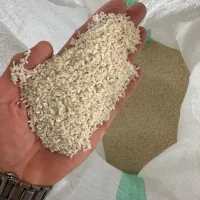 برنج سرلاشه طارم هاشمی سورت شده