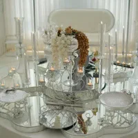 سالن عقد و تشریفات ویوگ