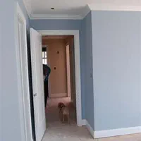 رنگ آمیزی نقاش رنگکار نقاشی ساختمان|خدمات پیشه و مهارت|شیراز, شهرک ولیعصر|دیوار