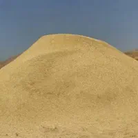 کاه دیم
