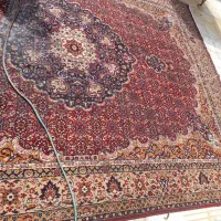 گلیم فرش|حراج|پاکدشت, پاکدشت (مامازند)|دیوار