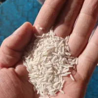 برنج هاشمی درجه یک