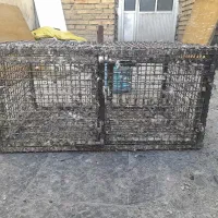 قفس جوجه گیری ۶۰ درد ۶۰ فروشی