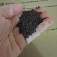 چای زیر قیمت تولید|خوردنی و آشامیدنی|اهواز, باغ شیخ|دیوار