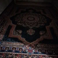 فرش ۱۲متری