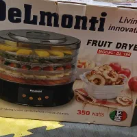 خشک کن میوه دلمونتی