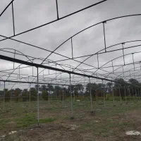 احداث گلخانه