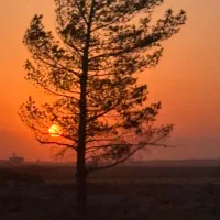 تور گردشگری|تور و چارتر|قم, هنرستان|دیوار